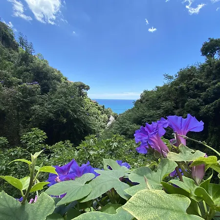 Matteo's House 阿马尔菲