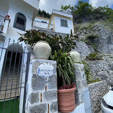 Matteo's House Bed & Breakfast