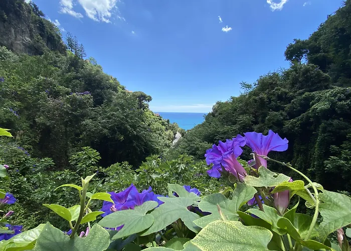 Matteo's House Amalfi